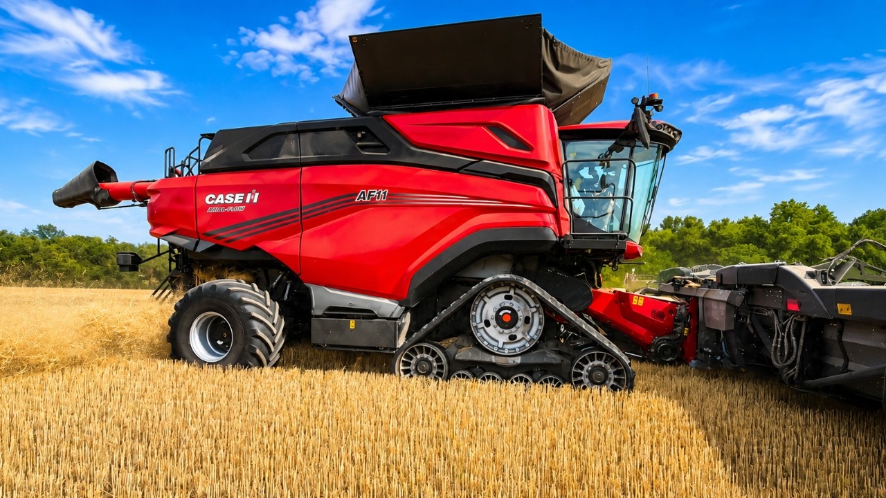 775 HP CASE IH AF 11 Combine Harvesting Wheat