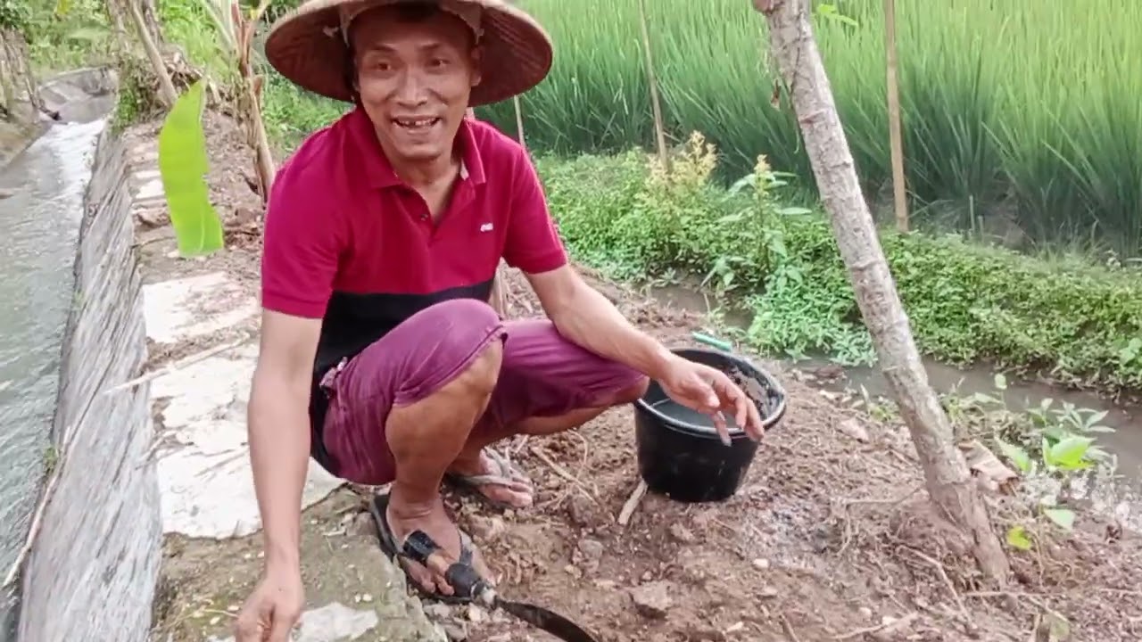 rusdi  sedang bersih2 di halaman rumah sambil nanam cabe