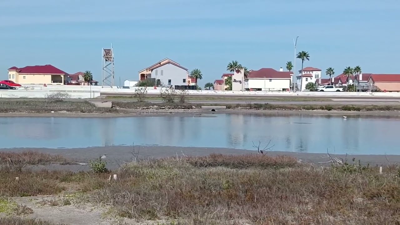 Timon Marsh - new stormwater drainage area on North Beach 
