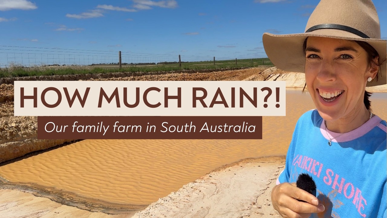 Rain Update on our Farm | Lambing Prep | Farmer Upskilling