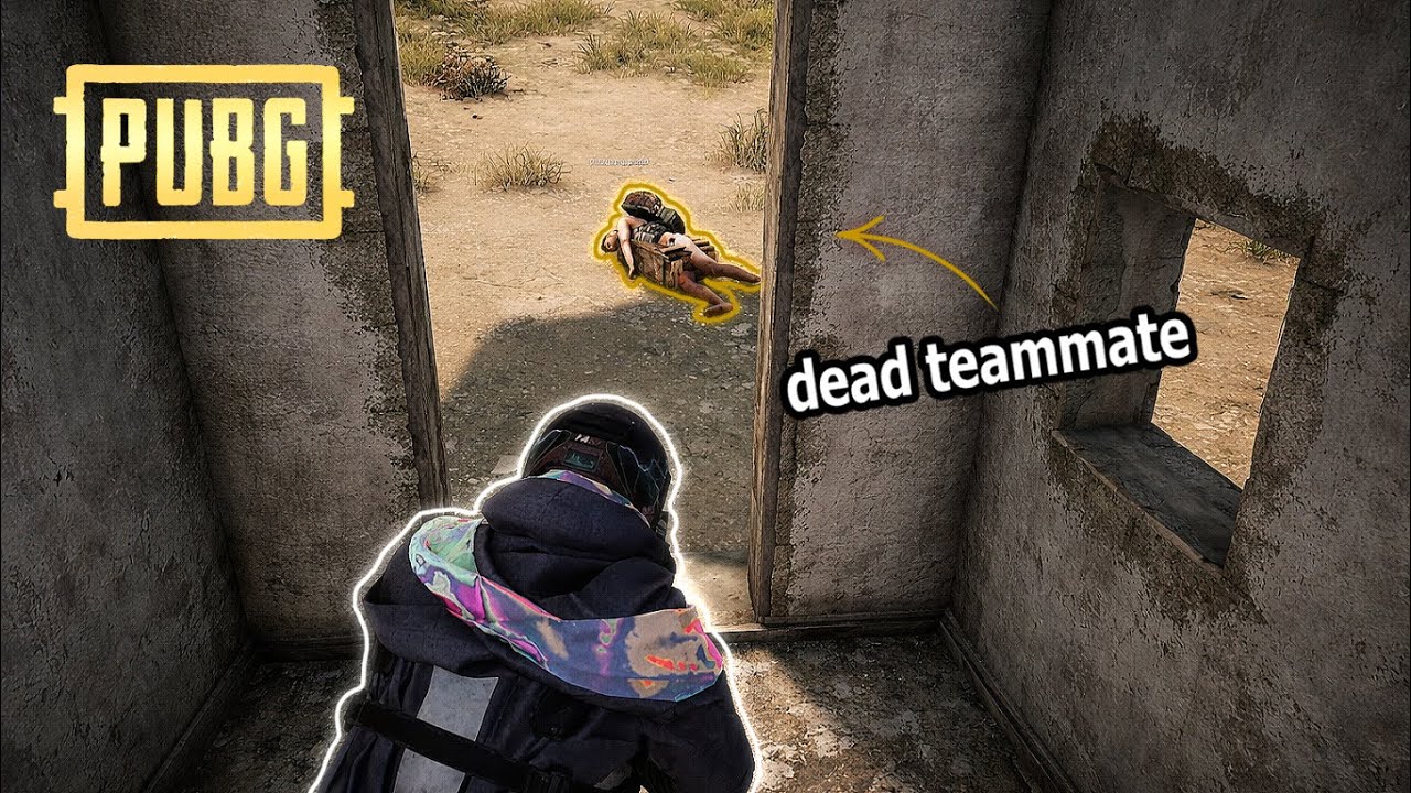 More Chicken Dinner | PUBG