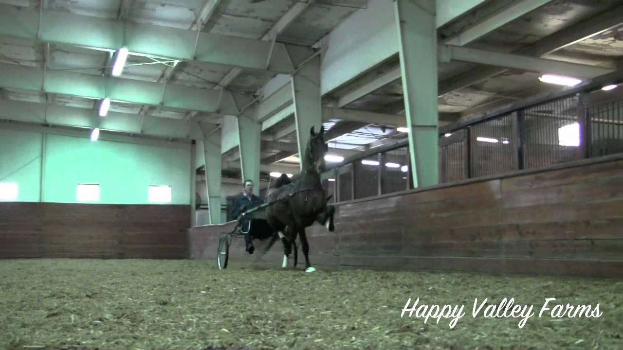 Happy Valley Farm  Rossville Georgia