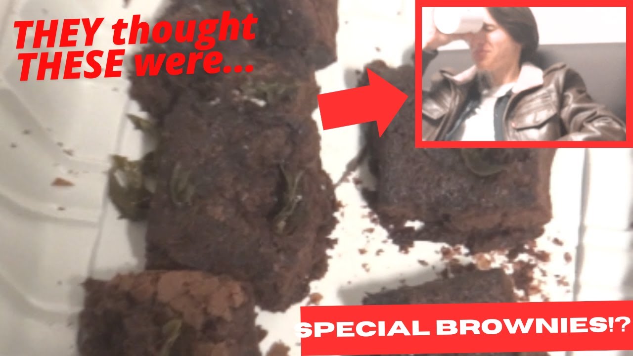 21: WE made SPECIAL BROWNIES!!! (Placebo) | Shroniclez