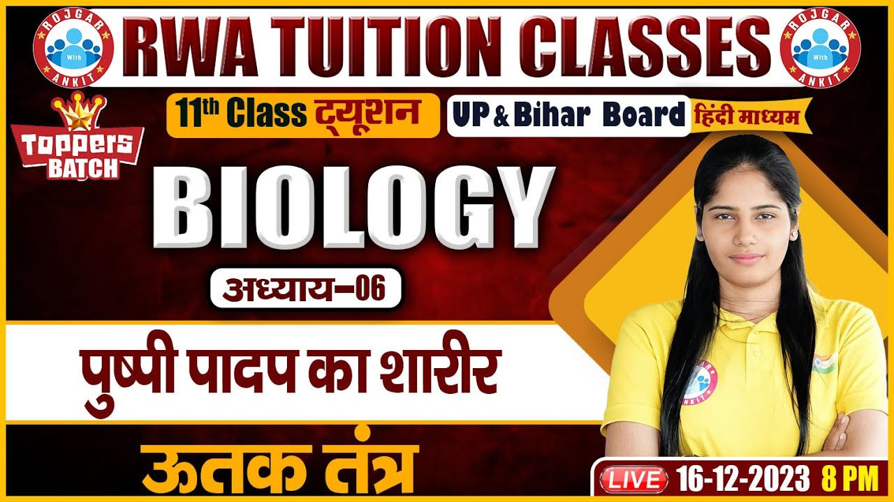 पुष्पी पादप का शारीर, ऊतक तंत्र, UP/Bihar Board 11th NCERT Biology Class By Swabhi Ma'am