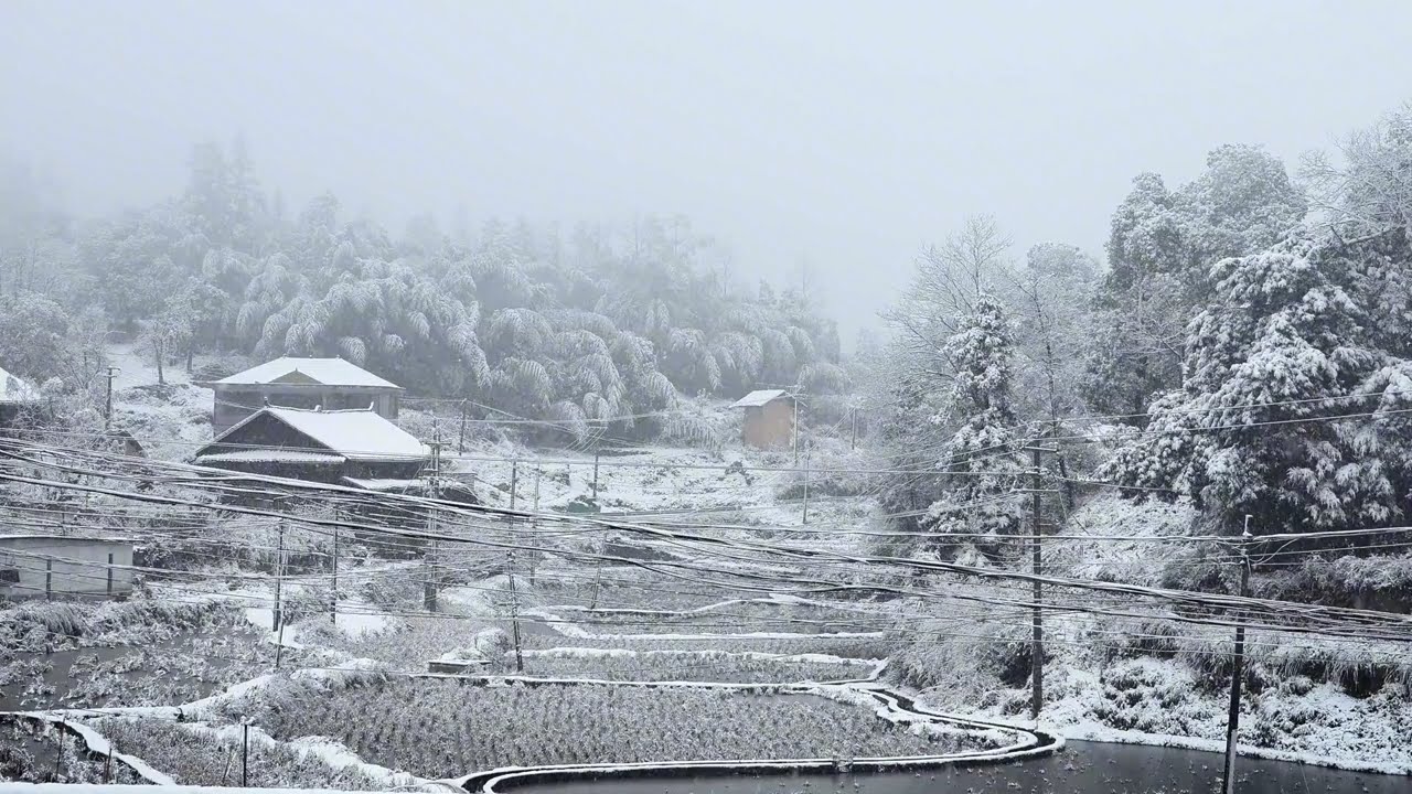 Snow Falling on a Peaceful Village | Winter Wind & Cozy Ambience for Sleep | Zen Nature ASMR