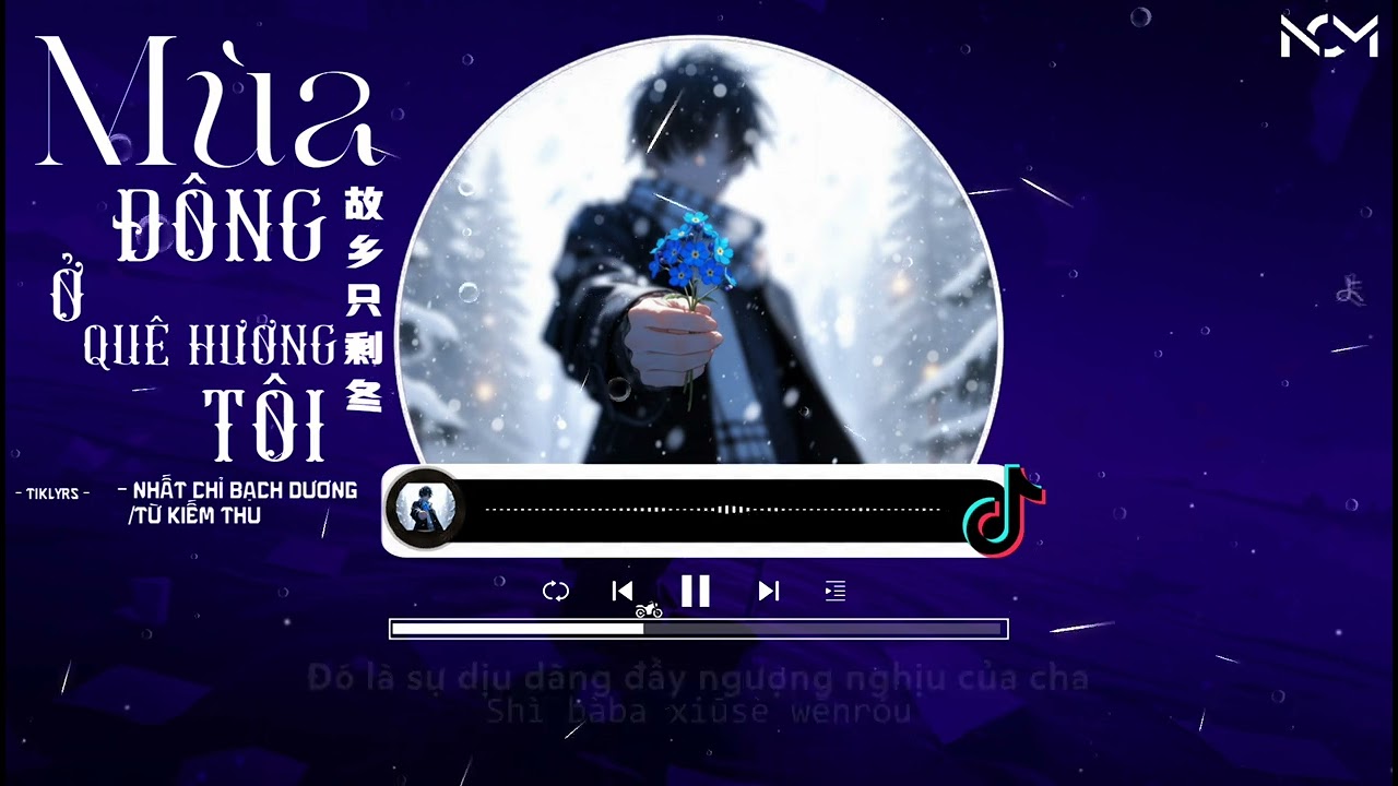 [Vietsub - Pinyin] Quê Hương Chỉ Còn Mùa Đông - Nhất Chi Bạch Dương, Từ Kiếm Thu｜一只白羊、徐剑秋 - 故乡只剩冬