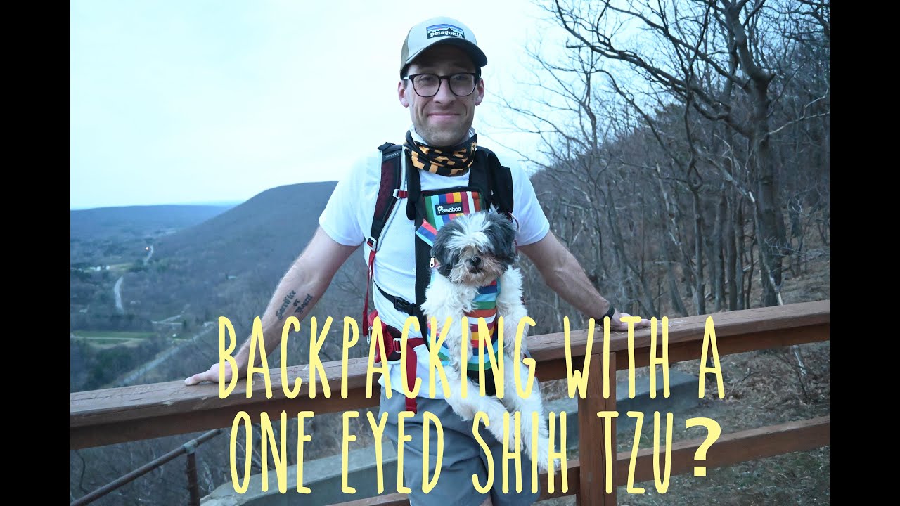 Finger Lakes Trail - Bristol Hills Branch (B1) Day Hike