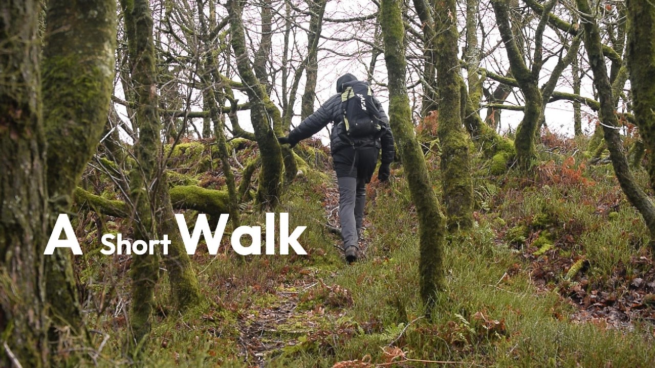 A Short  Lancashire Woodland Walk