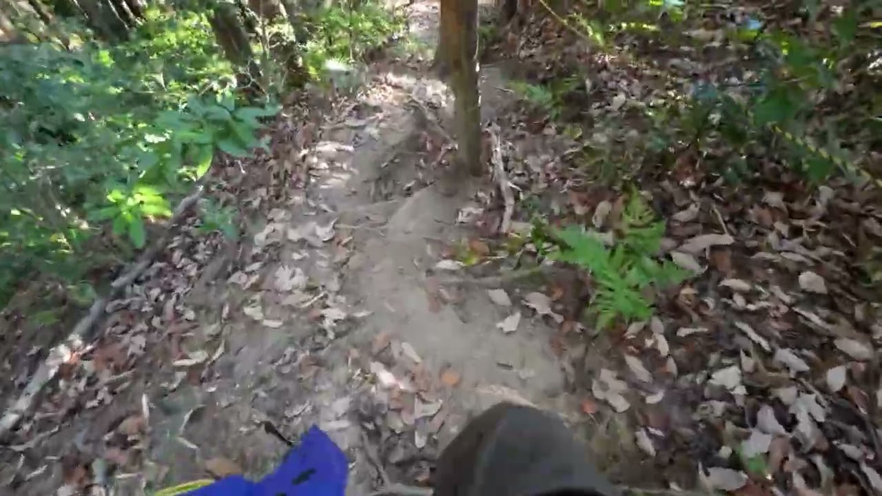交野三山（竜王山→旗振山→交野山→みはらしの道）