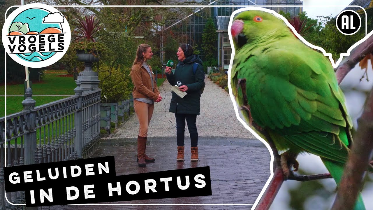 Zo klinkt de Hortus Botanicus te Leiden | Radio | Vroege Vogels
