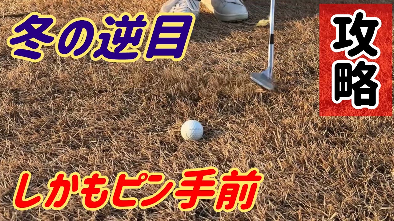 後輩プロからアプローチの質問があるようです
