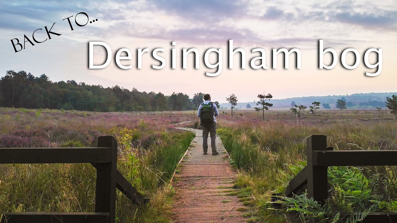 Back to... Dersingham Bog