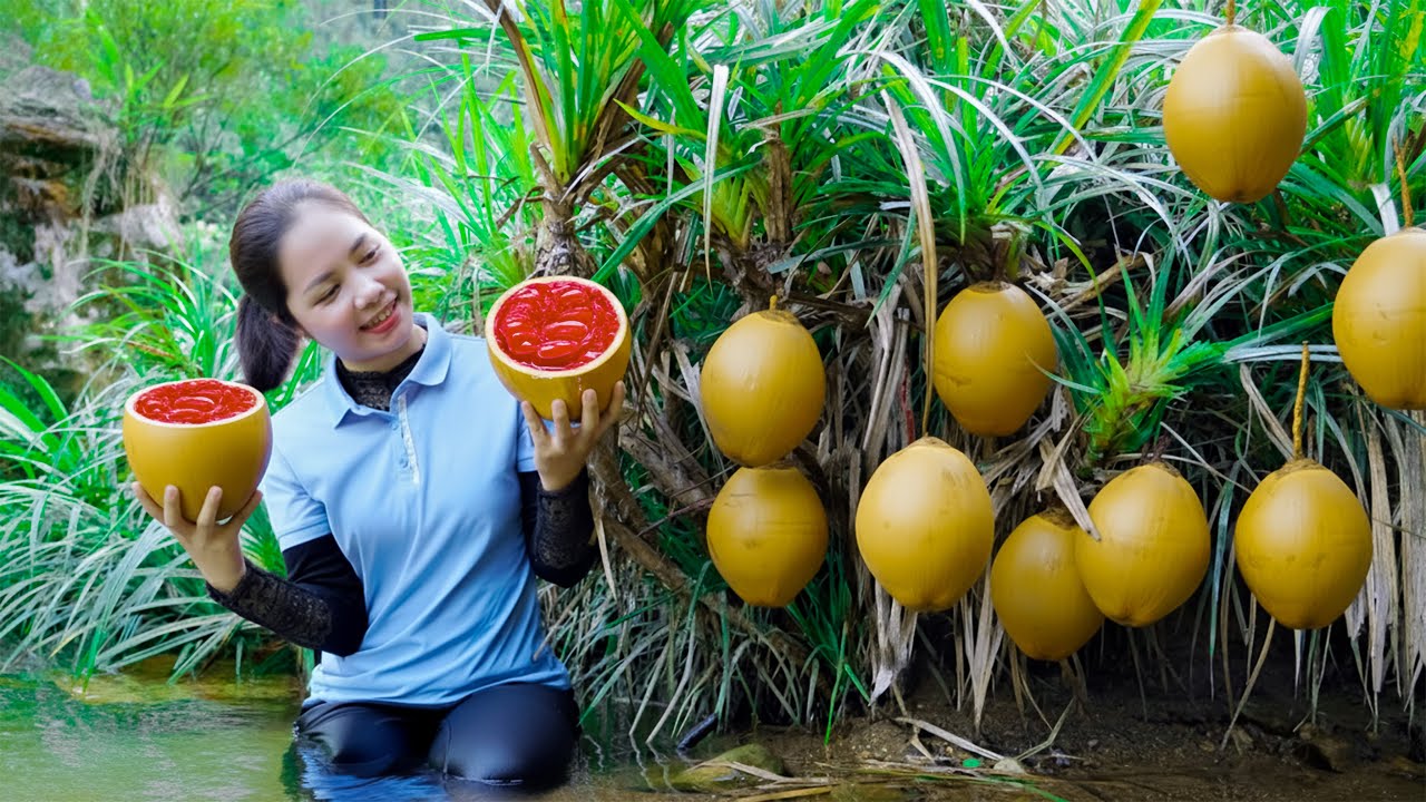 Harvesting 1000+Kg Giant Wild Coconut Goes To Market, New Life | Pure Harvest Life