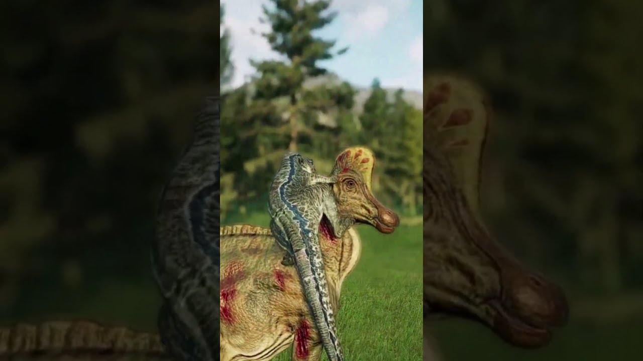 VELOCIRAPTOR 