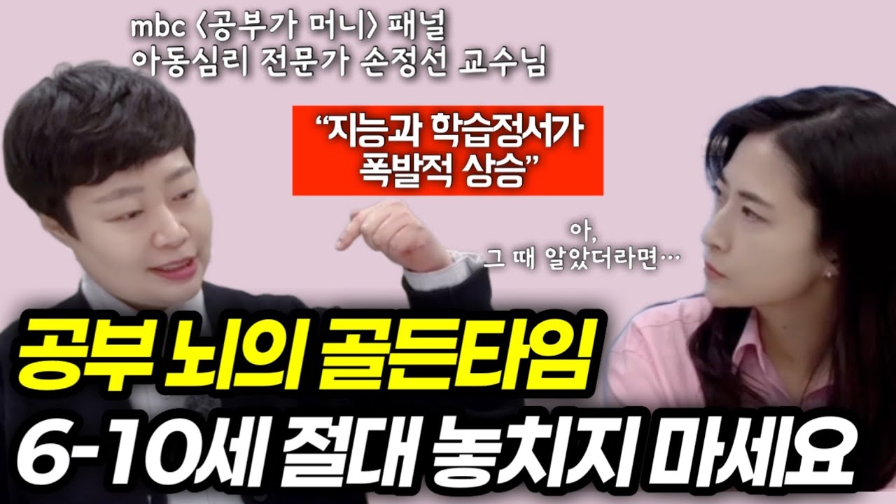 또래보다 학습효율 뛰어난 아이들은 6-10세에 모두 이 경험 했습니다 | 공부뇌 만들어주기 위해 부모가 반드시 알아야 하는 것 | 아동심리 전문가 손정선 교수