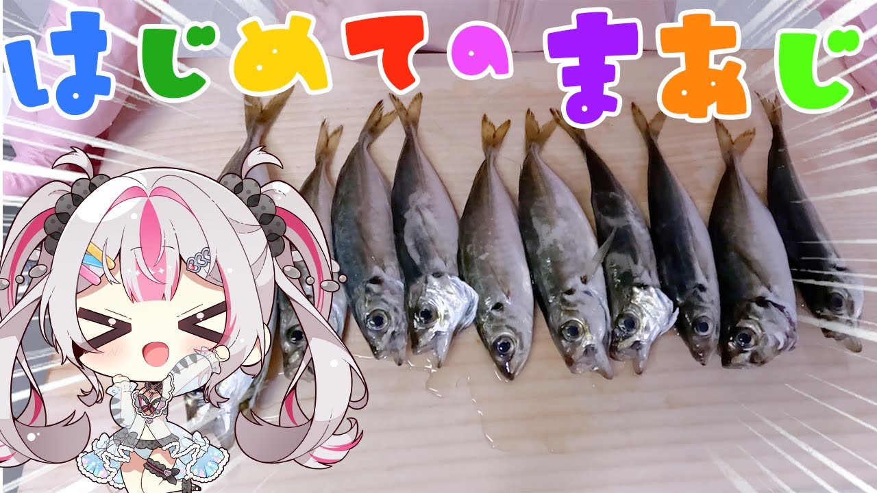 【料理】自分で釣ったアジを初めて捌いたらパイナップル完成した【桃川ニジマス/うおむすめ】