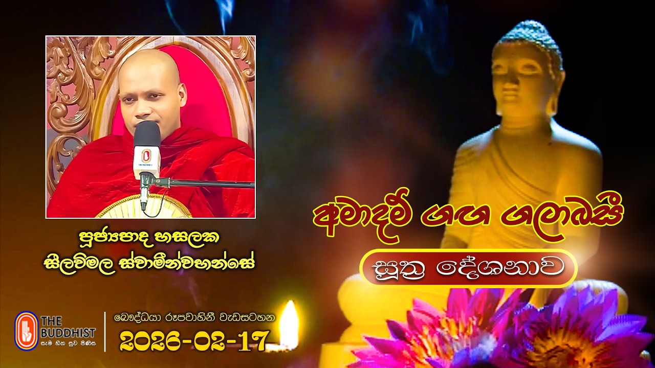 Ven Hasalaka Seelawimala Thero | 2026-02-17 | 04:00PM (සූත්‍ර දේශනාව)