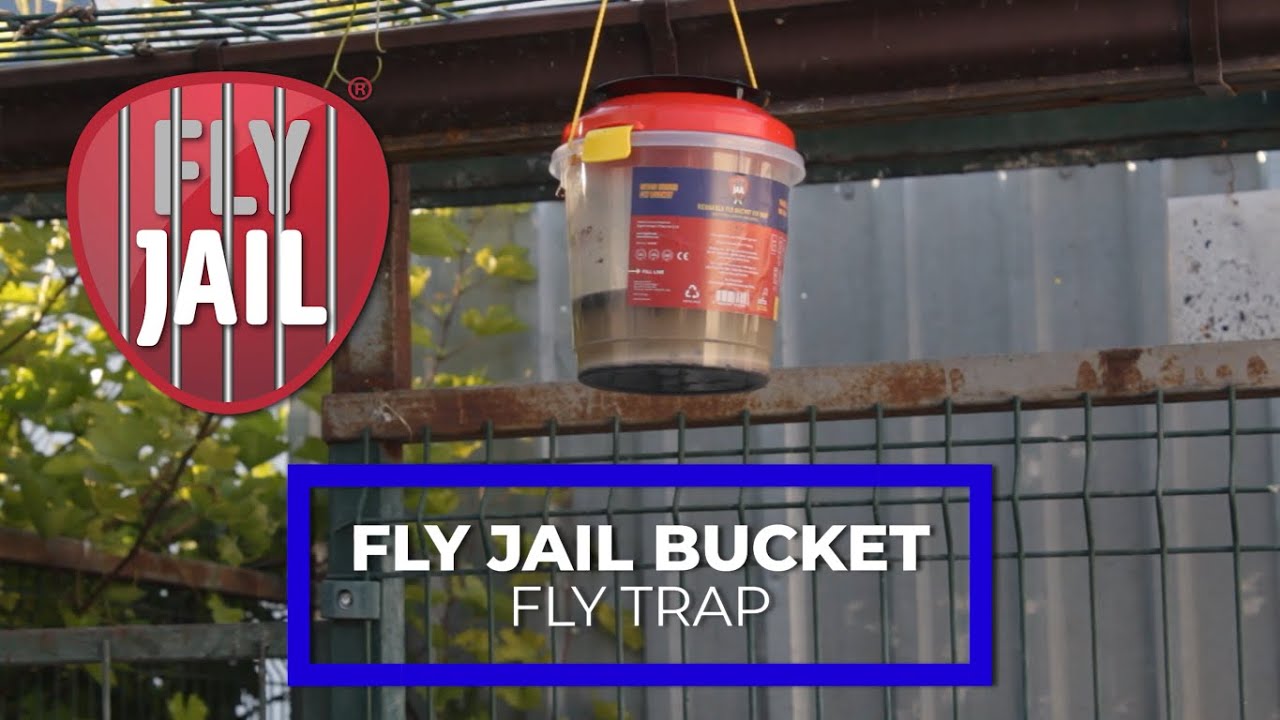 FLY JAIL FLY BUCKET FLY TRAP
