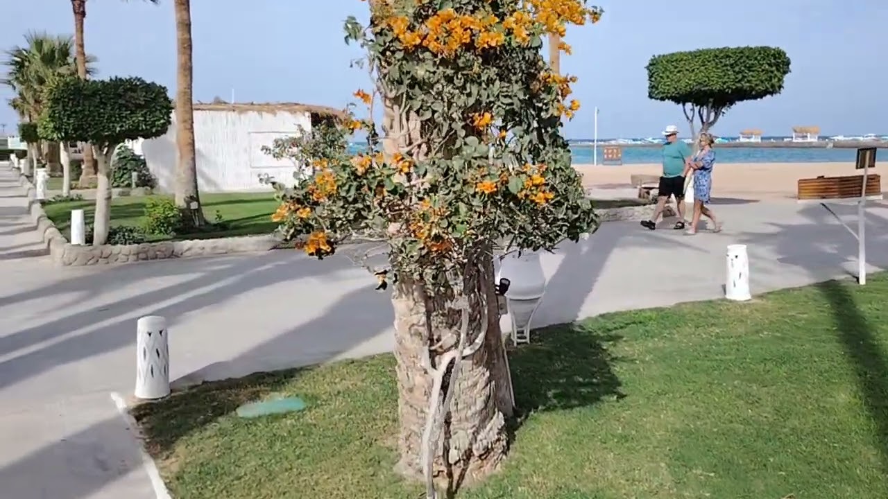 Meraki Hurghada stojí za to ?
