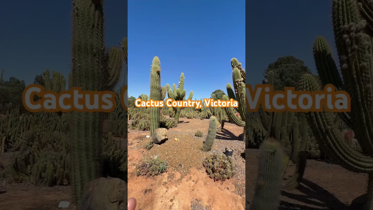 Cactus Country | Places to See Near Melbourne | Victoria