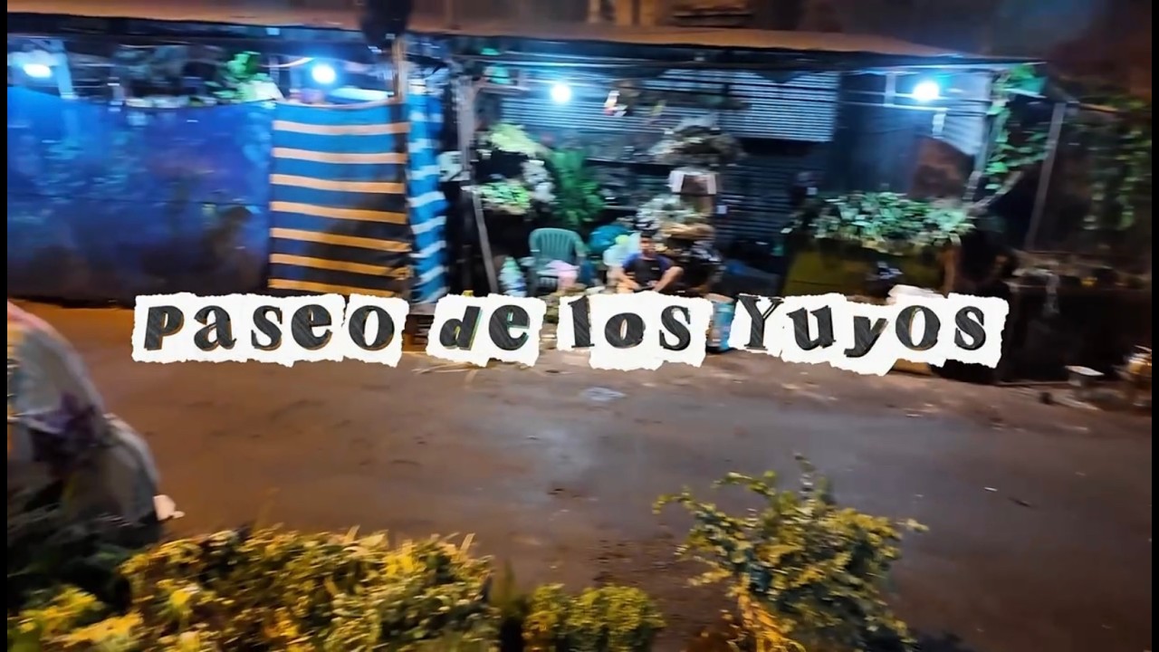Episodio 2: Paseo de los Yuyos