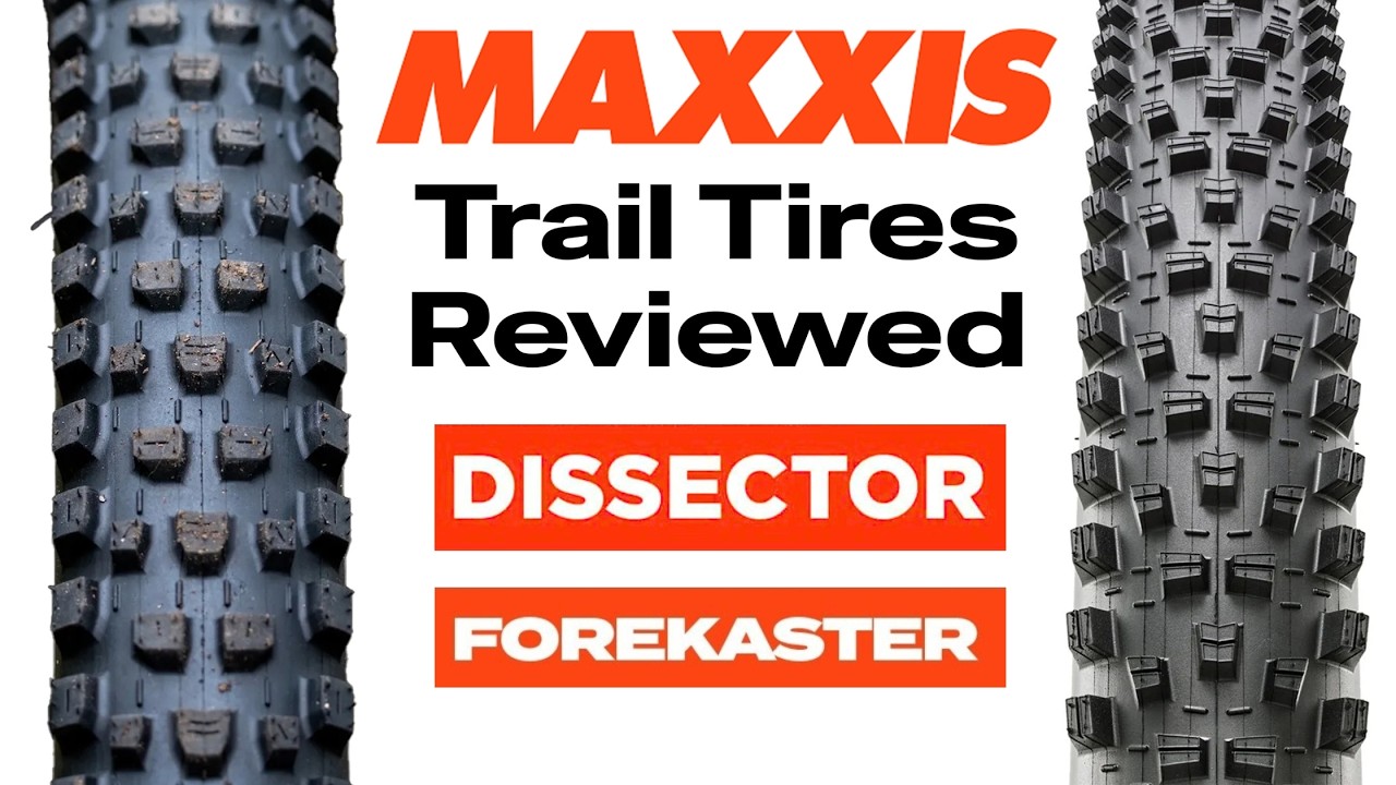 Обзор покрышек Maxxis Fast Rolling Trail Tires от Forekaster и Dissector