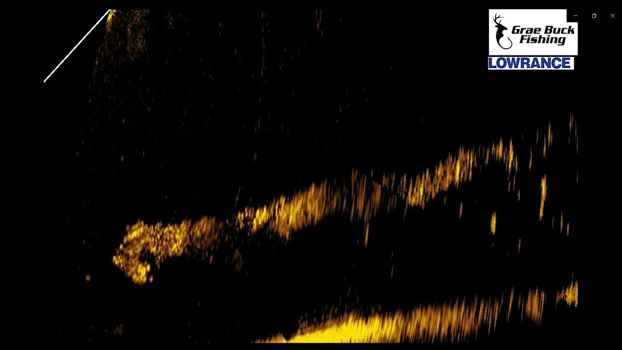 How to Interpret/Read Lowrance Active Target- Baitfish, Shad, Bass, Creek Channel, Brush Piles