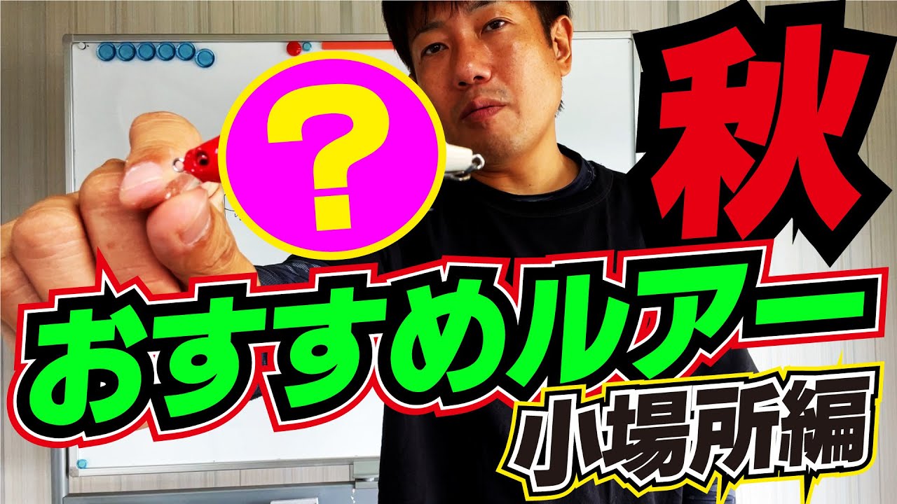 秋シーバスで１本でも多くシーバスを釣るためのおすすめルアー小場所編