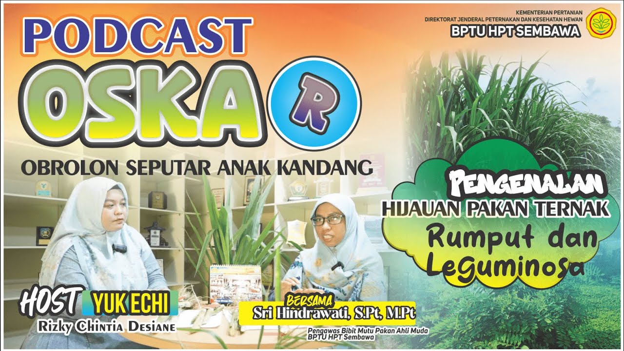 Pengenalan Hijauan Pakan Ternak (Rumput dan Leguminosa) #podcast  #OSKAR #BPTUHPTSEMBAWA