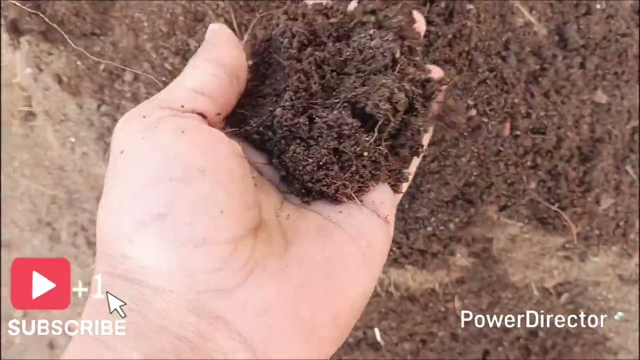 पॉलीहाउस विजेट 👍