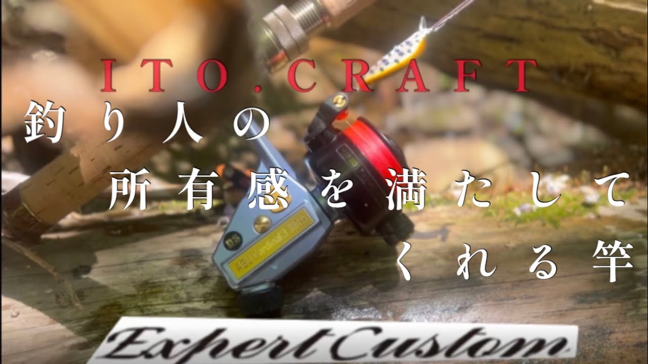 ずっと欲しかったロッド買えたので使ってみた。ルアーイワナヤマメ エキスパートカスタム#fishing#trout#ヤマメ #イワナ #カーディナル #渓流釣り #ルアーフィッシング