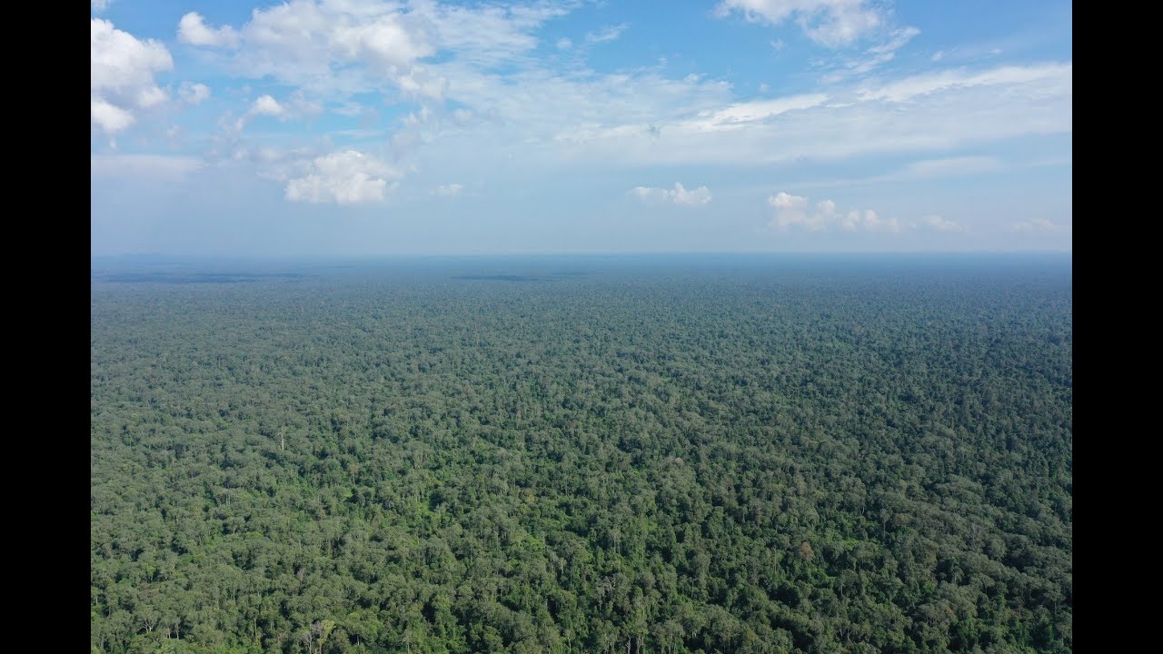 SIMFONI ALAM EP : PEAT SWAMP OF SELANGOR FULL HD