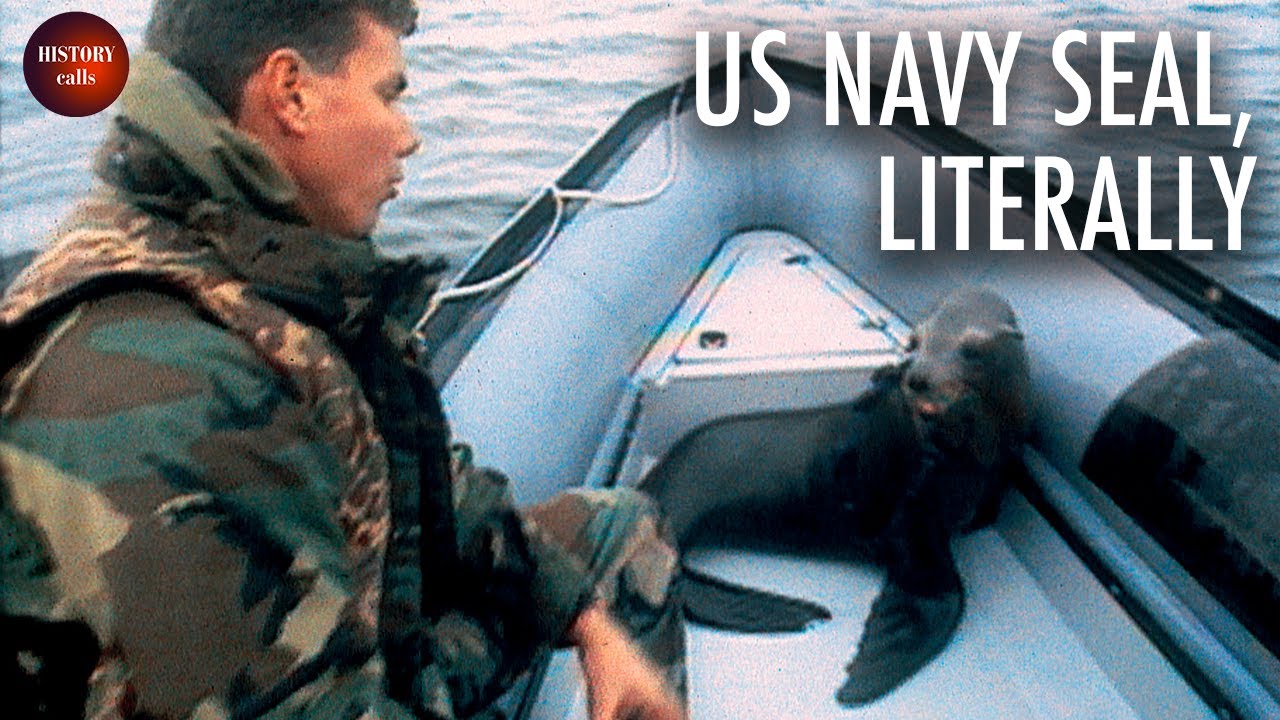 American secret weapon: submarine mammals