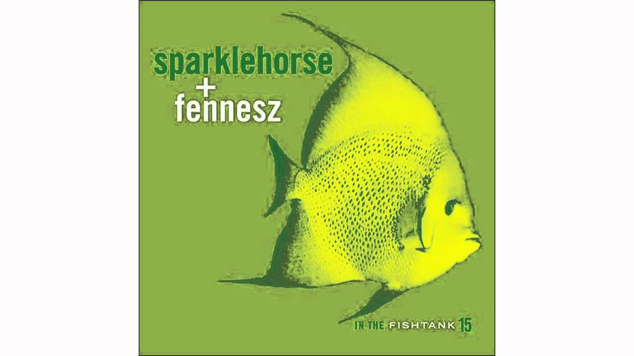Sparklehorse + Fennesz - Goodnight Sweetheart - In The Fishtank 15