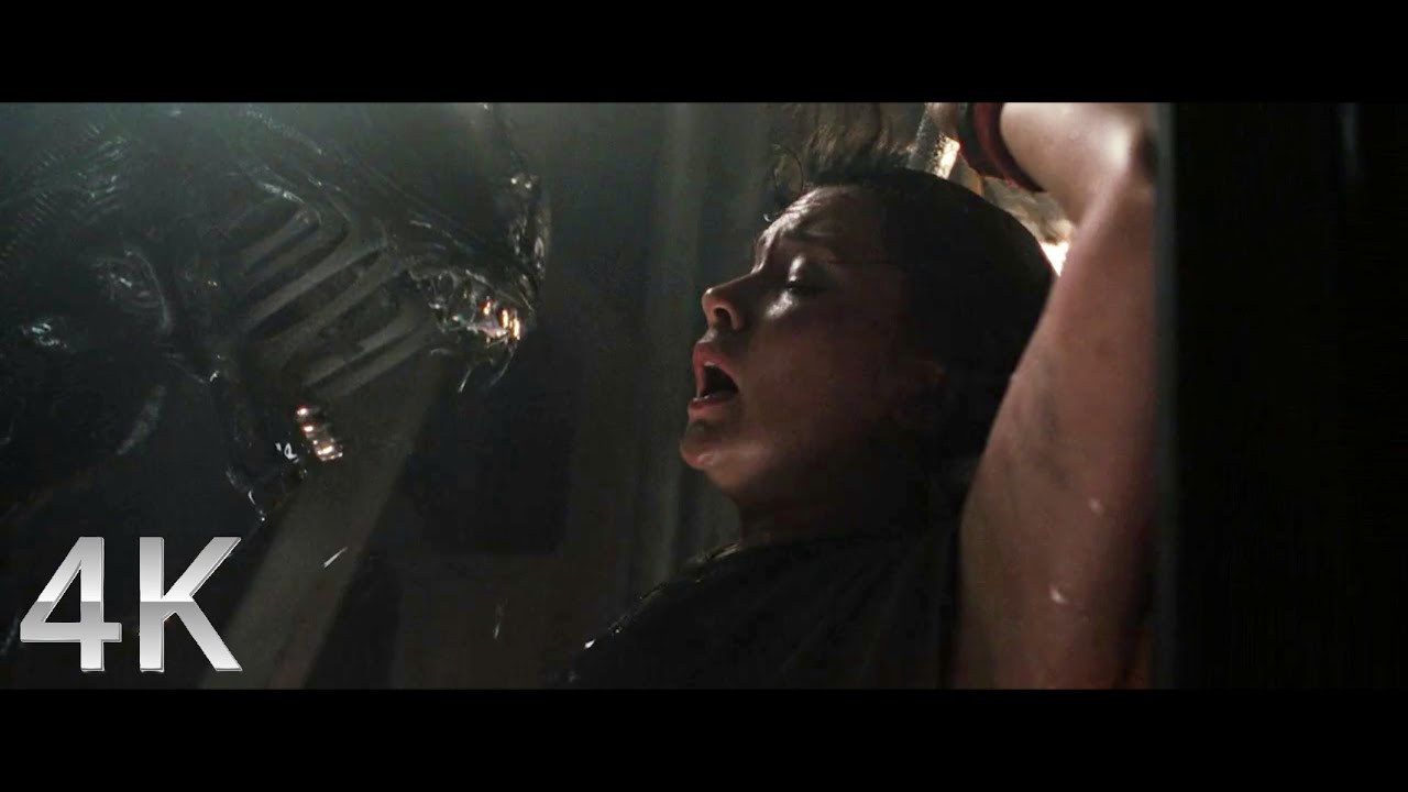 Xenomorph is surprised - Alien: Romulus (2024) 4K