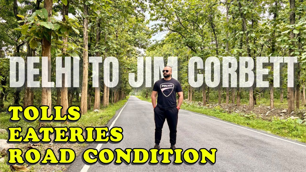 Delhi to Jim Corbett by road | Delhi to jim Corbett by car | Delhi to jim Corbett National park