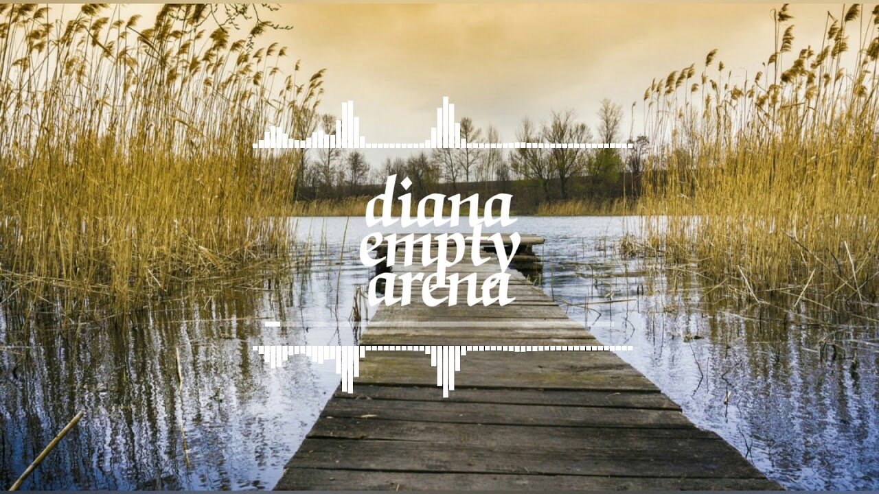 One direction-Diana empty arena
