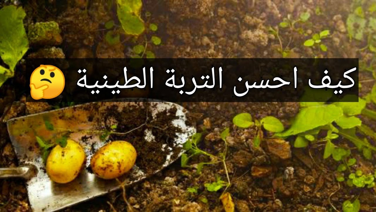 هل التربة الطينية جيدة للنبات
