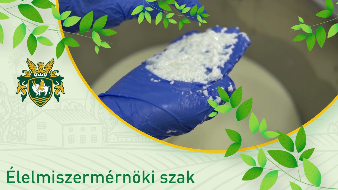 Élelmiszermérnöki szak