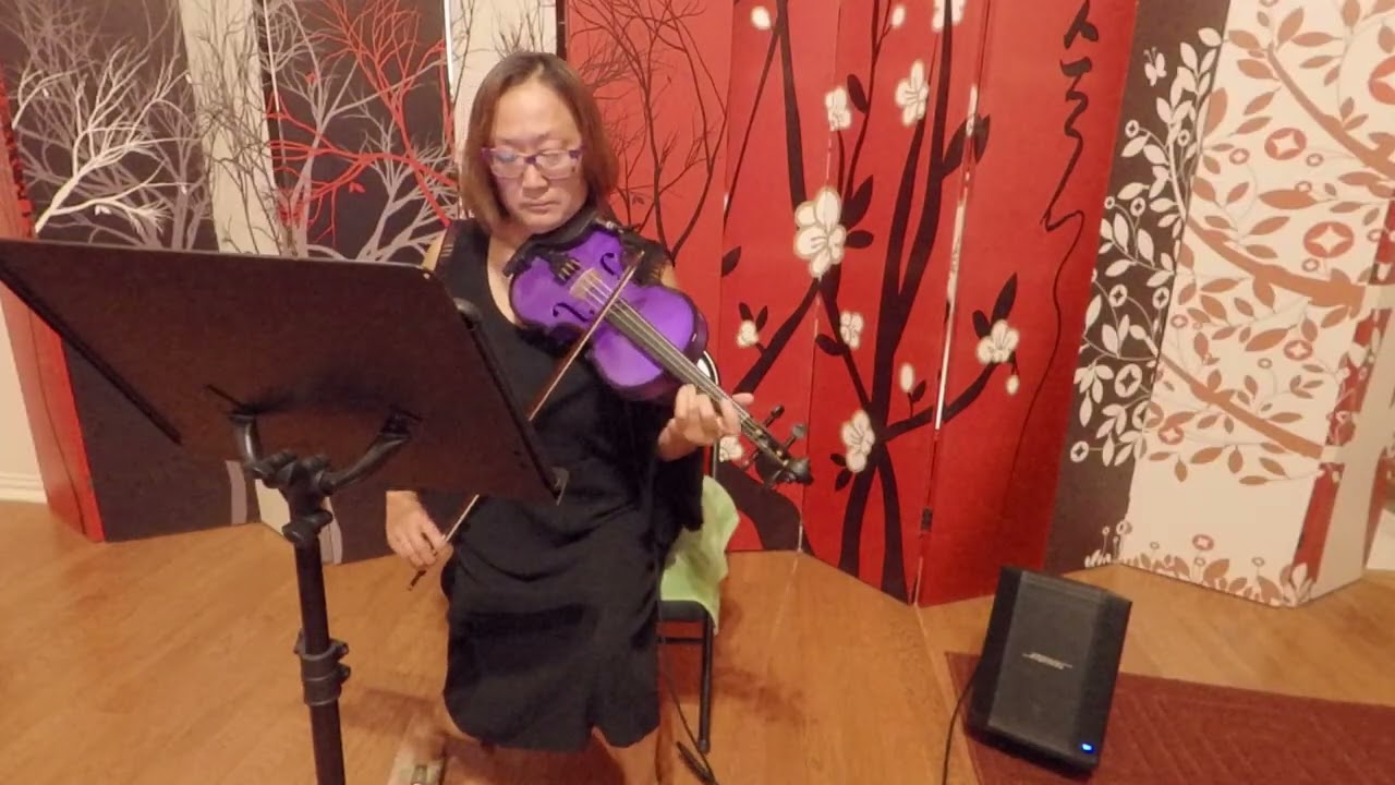 Pasoori (Bollywood) - Violin & Piano Track by Serenata Strings DFW