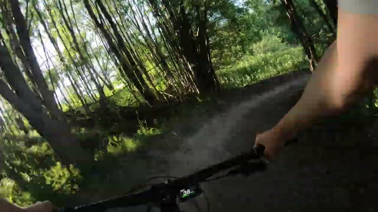 Maltsu py&ouml;r&auml;ilyvideo