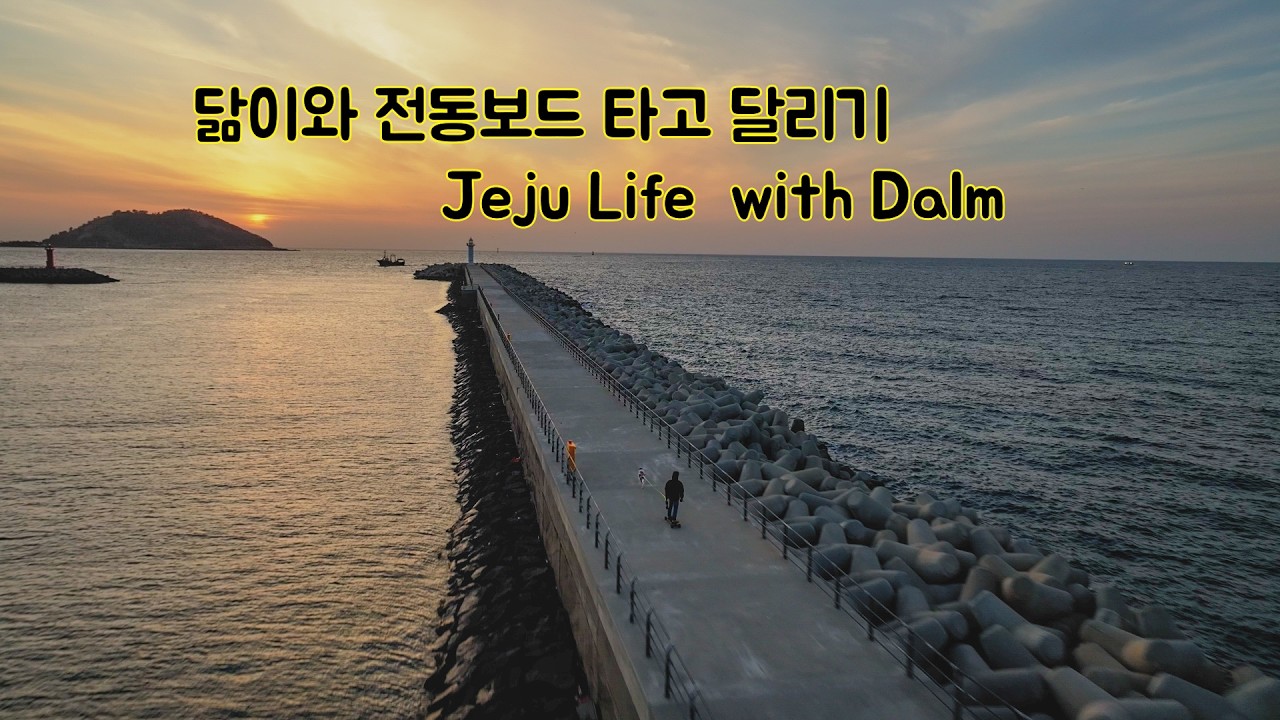 보더콜리 닮 제주 해안도로 보드타고 달리기 닮은이야기 Sunset boarding with Dalm in Jeju