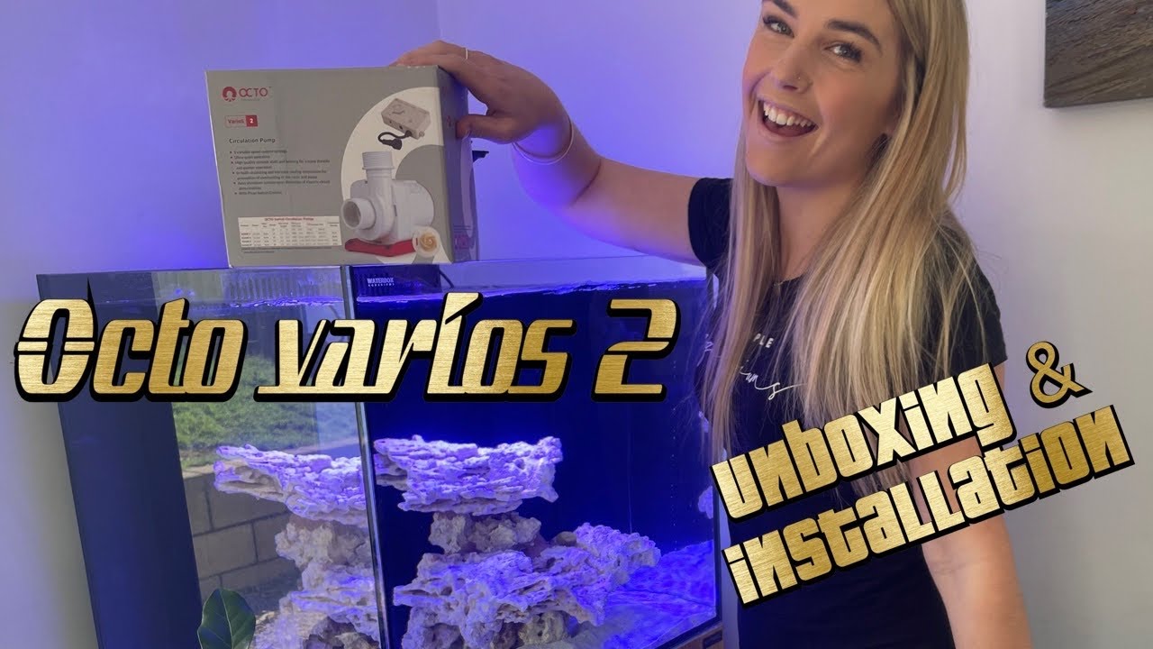 Unboxing & Assembling Octo return pump for my new Waterbox build