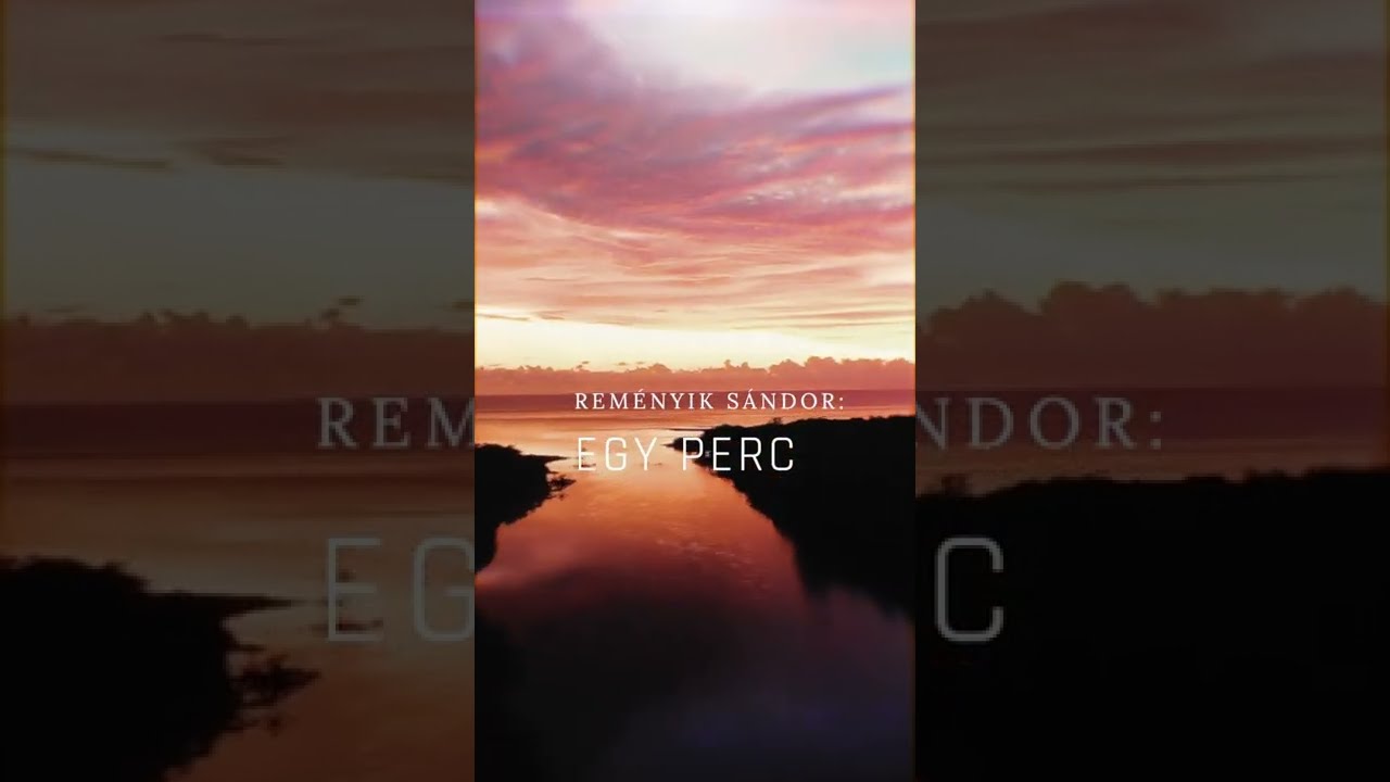 Reményik Sándor - Egy perc