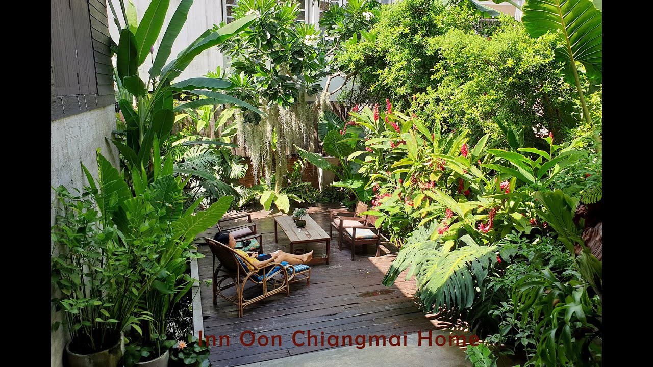 The best homestay in Chiang Mai, Thailand