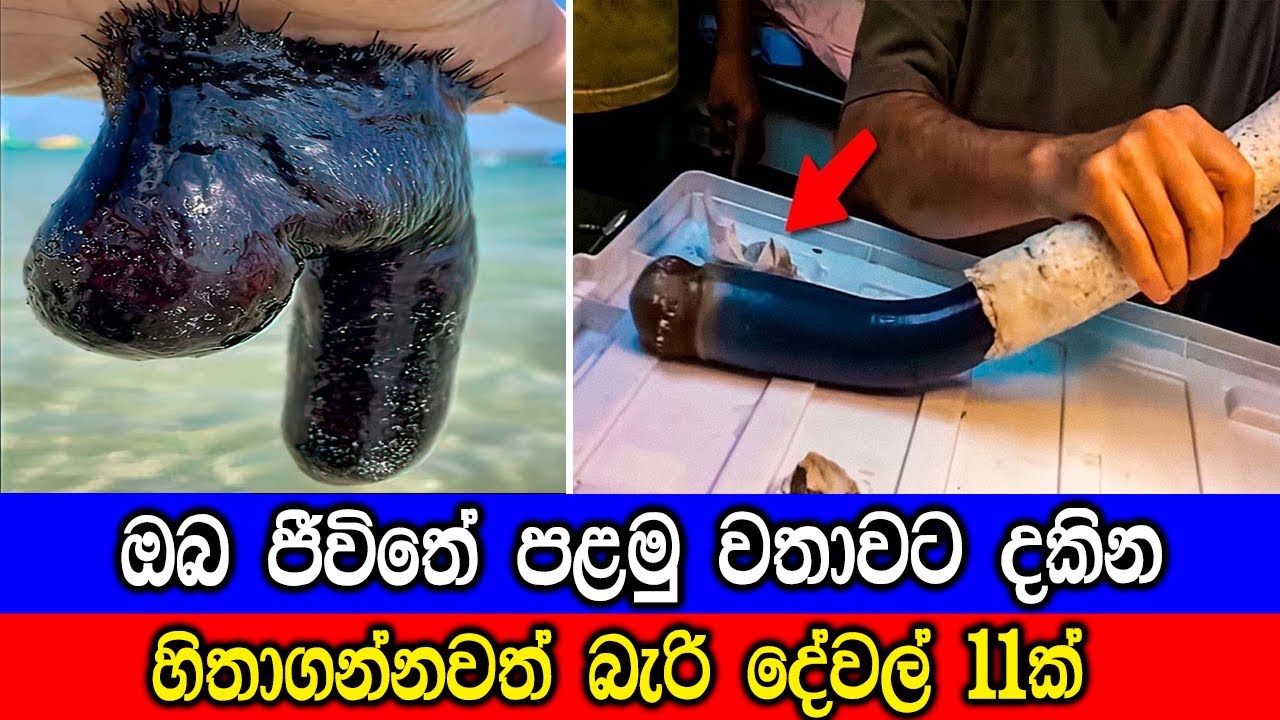 ඔබ ජීවිතේ පළමු වතාවට දකින දේවල් 11ක්.