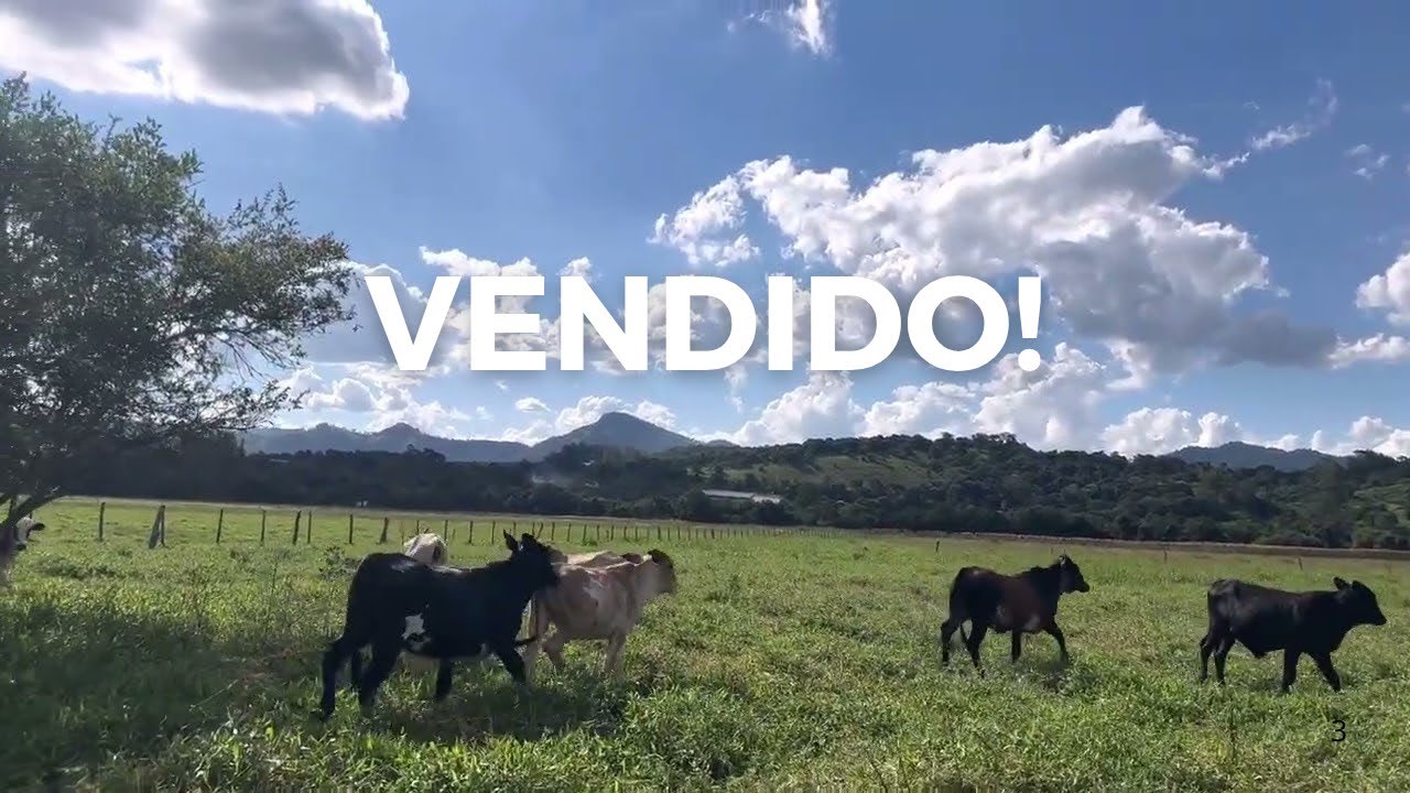 Terreno rural de 48.000 m2 a venda em Estiva MG