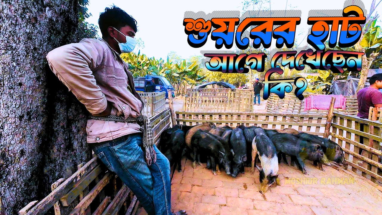 জীবনে প্রথম শুয়রের হাট ভিজিট! 😳 | Real Village Vlog।শুয়রের হাটে যা দেখলাম 😲 | গ্রামের বিরল অভিজ্ঞতা!