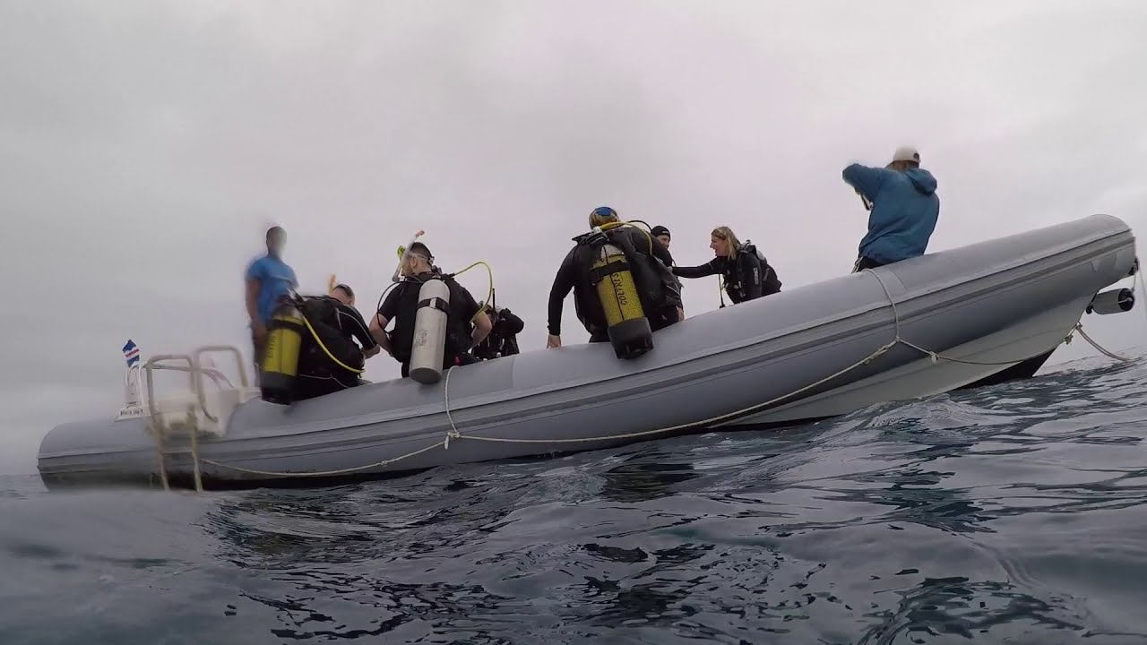 Cape Verde Diving 2019 Lost Anchor