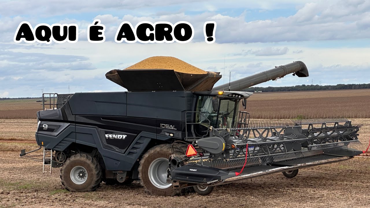 Ep 381 Seguindo Firme na colheita safra 2025 de soja no MT colhendo com 8 máquinas Rende muito !